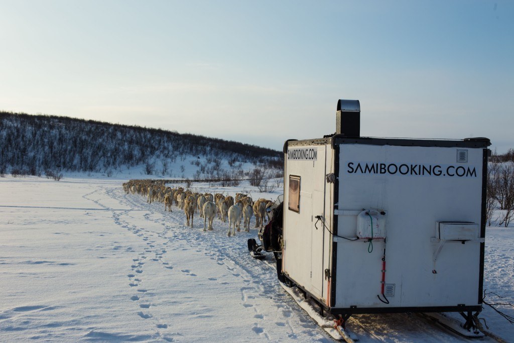 Mixed business in  Guovdageaidnu: Reindeers, snowmobiles and creative industries. Photo: Roger Manndal